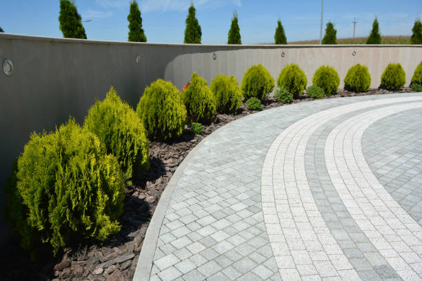 Best Driveway Repair Near Me  in Richmond, MN